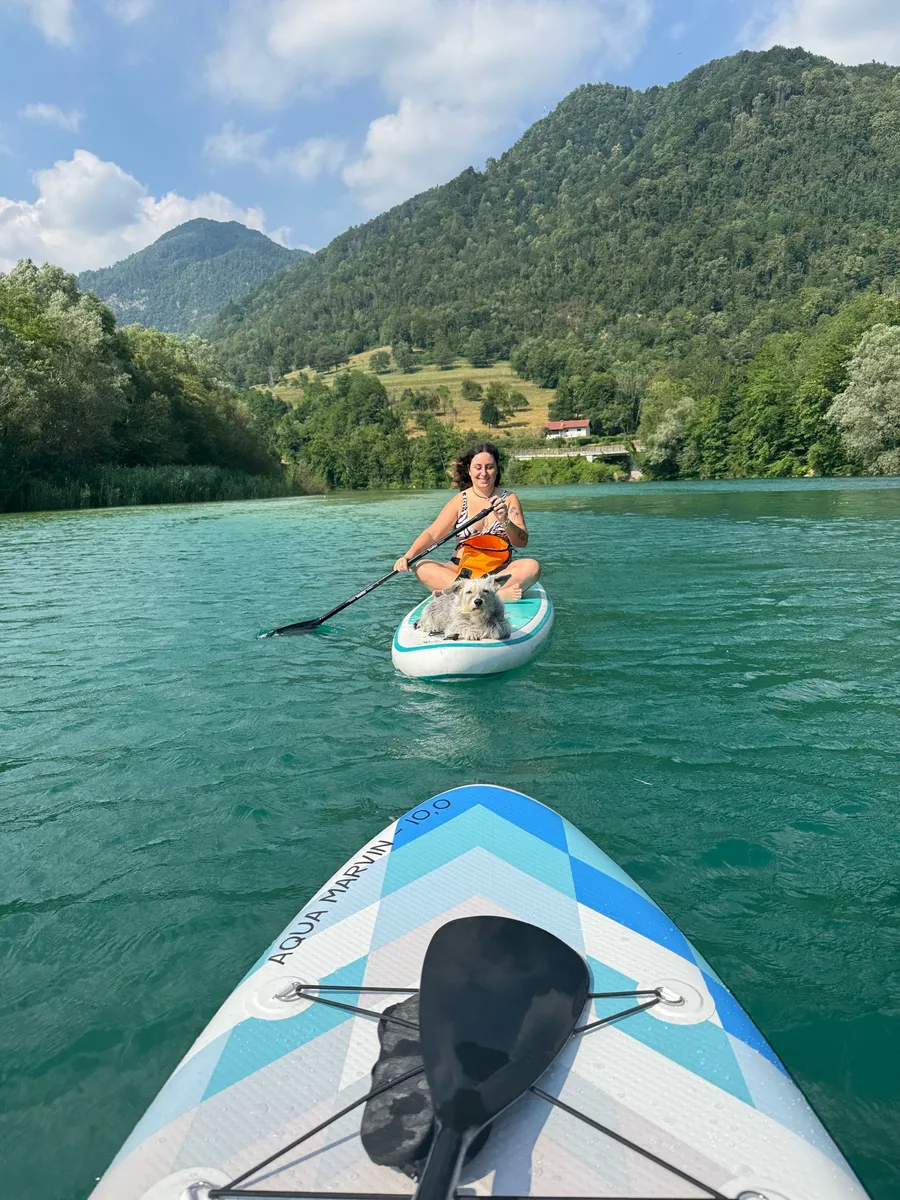 Relaxed SUP with a dog on calm water
